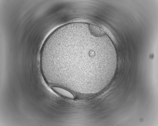 X0000093621092200711121230