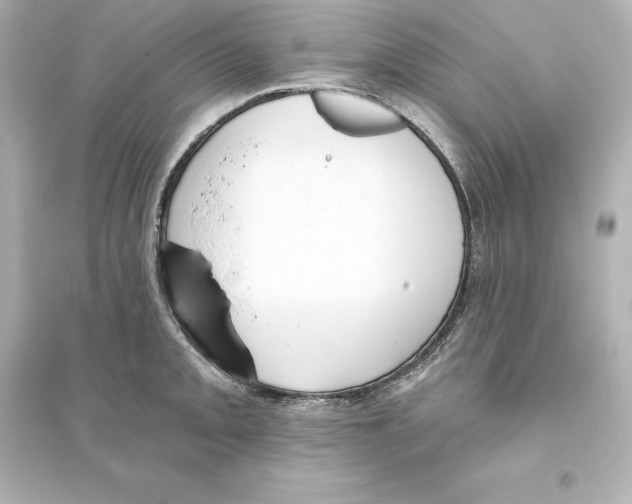 X0000093621093200711121230