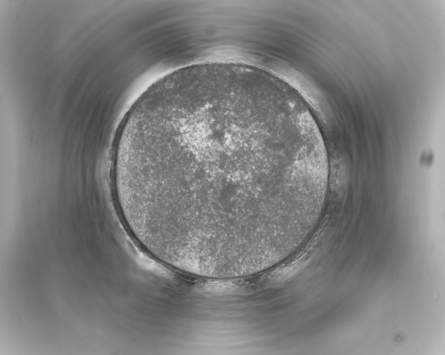 X0000093621094200711121230