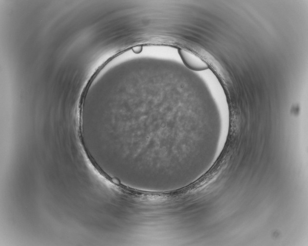 X0000093621095200711121230