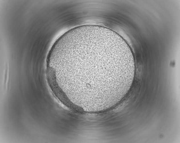 X0000093621096200711121230