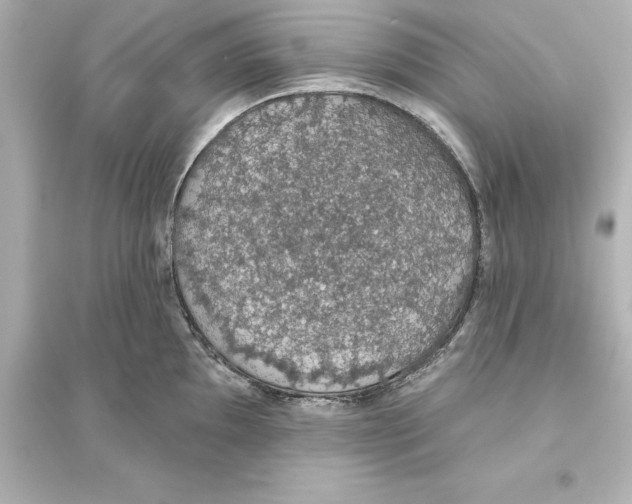 X0000093621097200711121230