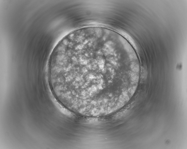 X0000093621098200711121230