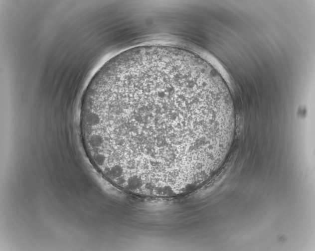 X0000093621099200711121230