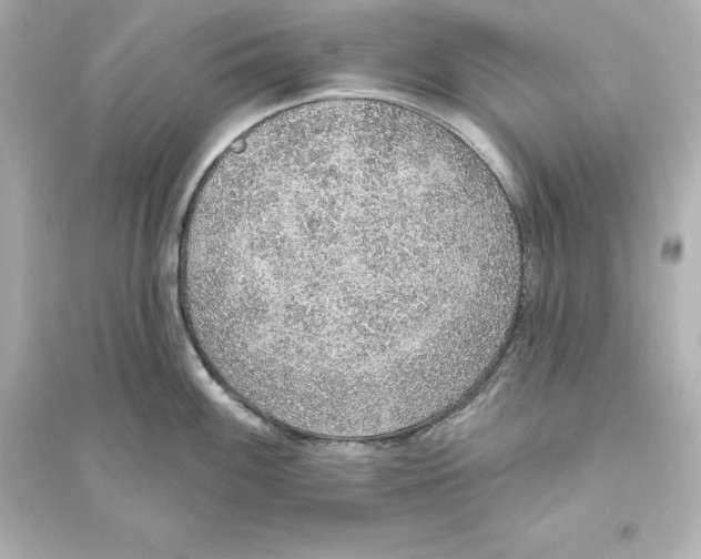 X0000093621100200711121230