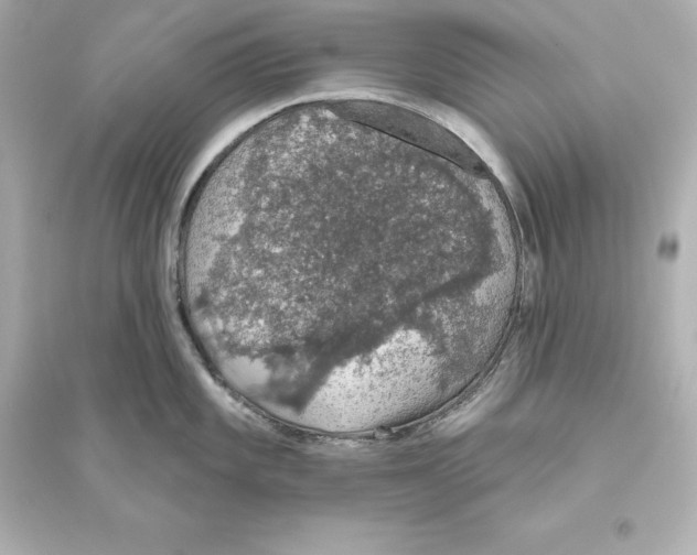 X0000093621101200711121230