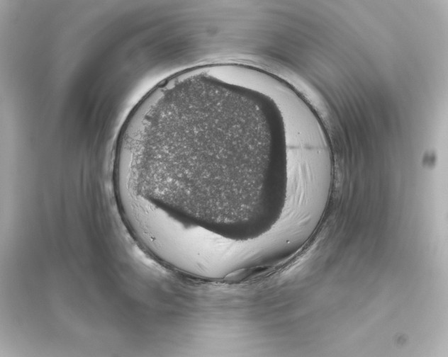 X0000093621102200711121230