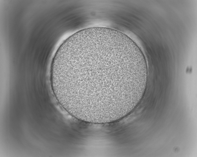 X0000093621104200711121230