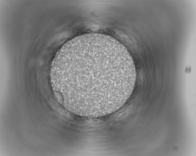 X0000093621105200711121229