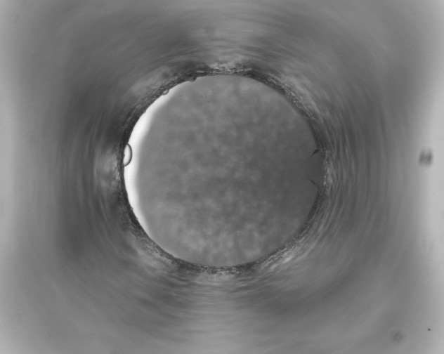 X0000093621106200711121229