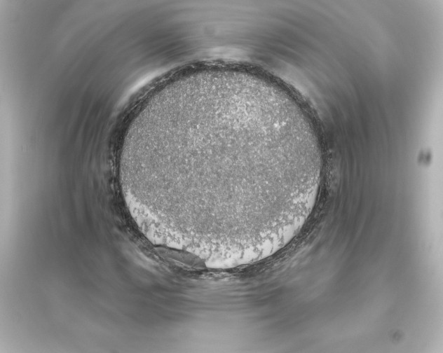 X0000093621112200711121229