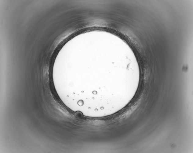 X0000093621113200711121229