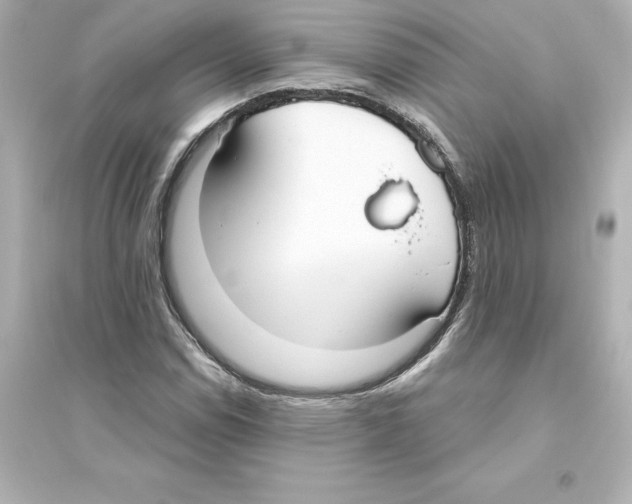 X0000093621114200711121229