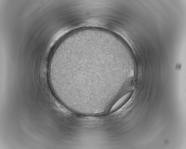 X0000093621115200711121229