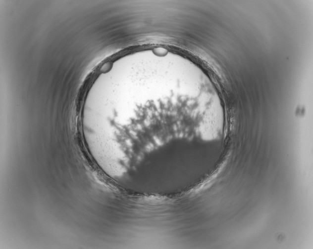 X0000093621117200711121229