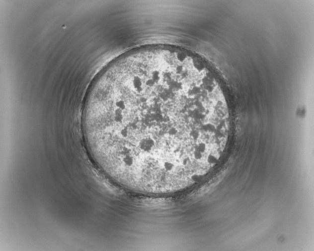 X0000093621121200711121229