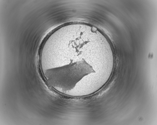 X0000093621125200711121229