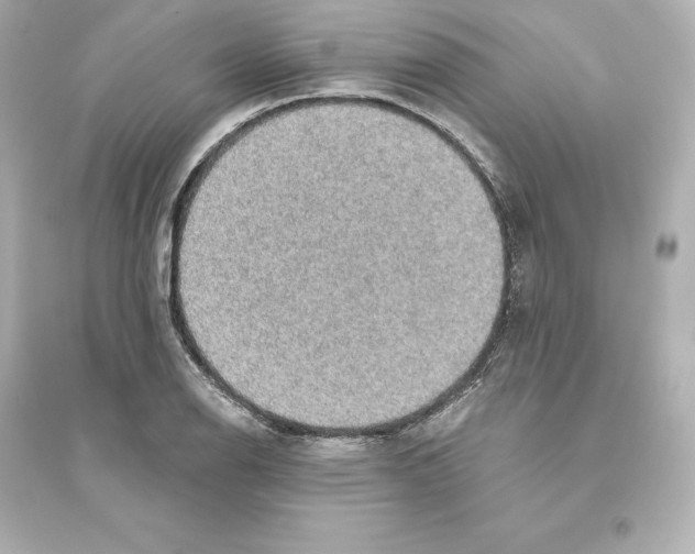 X0000093621126200711121229