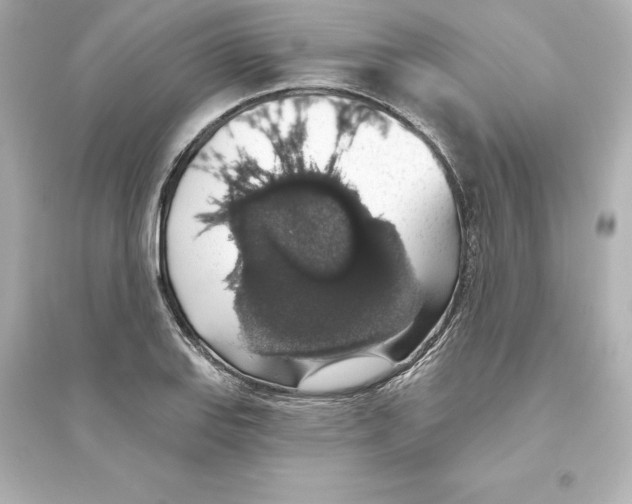 X0000093621127200711121229