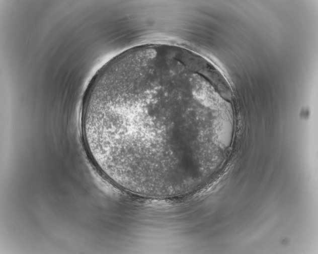 X0000093621128200711121229