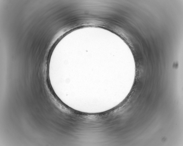 X0000093621130200711121229