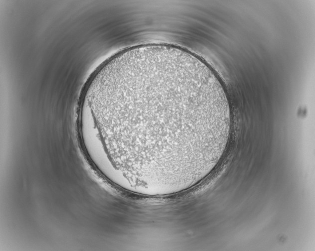 X0000093621134200711121229