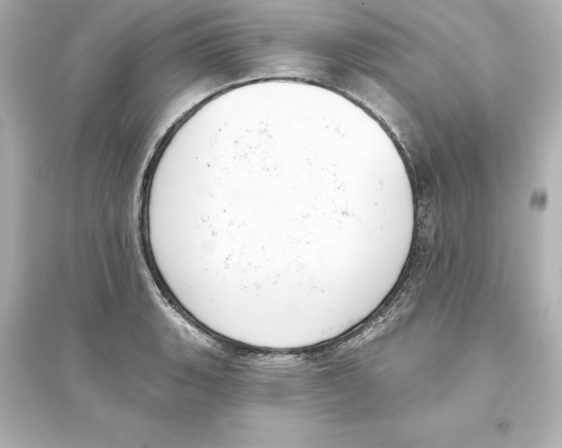 X0000093621135200711121229