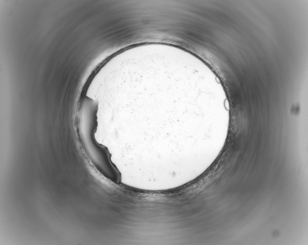 X0000093621136200711121229