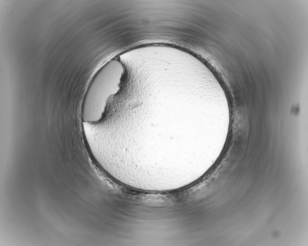 X0000093621137200711121229