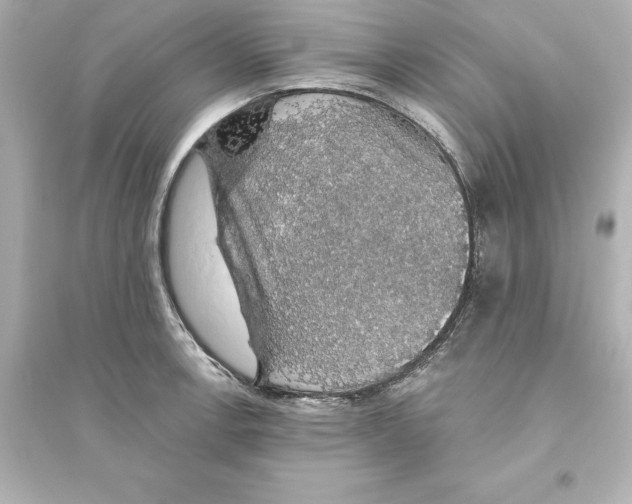 X0000093621138200711121229