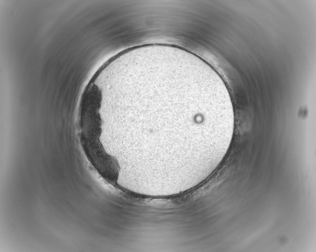 X0000093621140200711121229