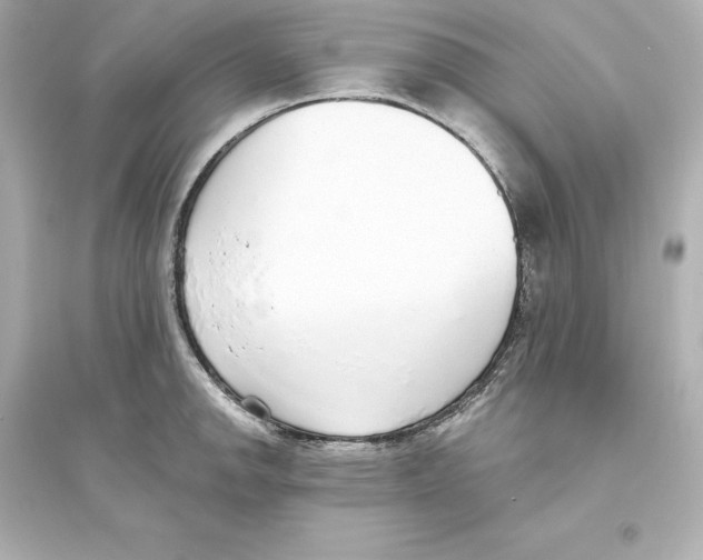 X0000093621142200711121229