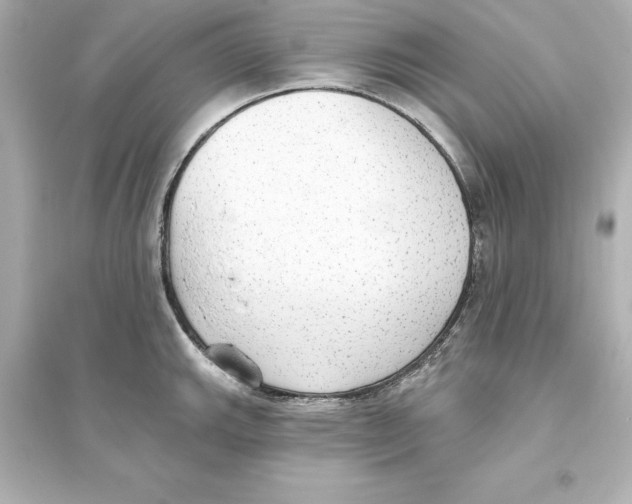 X0000093621143200711121229