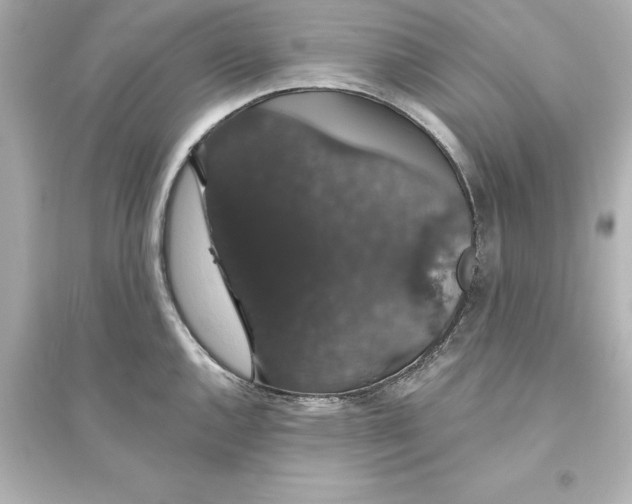 X0000093621144200711121229