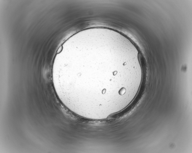 X0000093621145200711121229