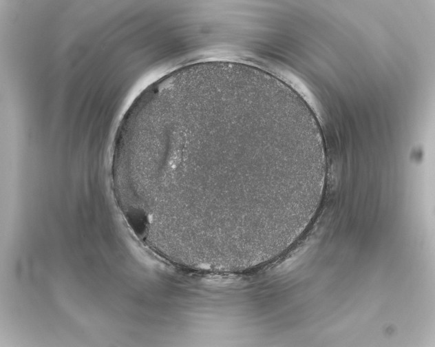 X0000093621146200711121229