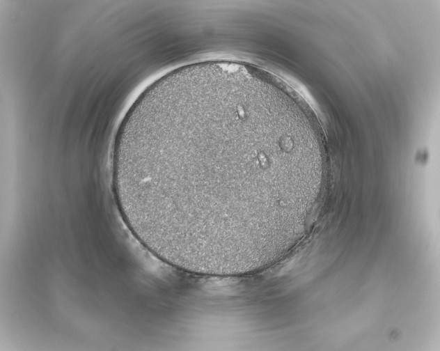 X0000093621148200711121230