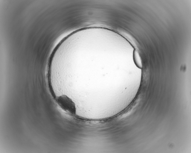 X0000093621149200711121230