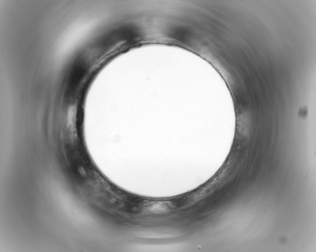 X0000093621150200711121230