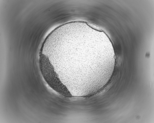 X0000093621151200711121230