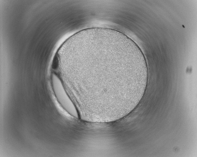 X0000093621152200711121230