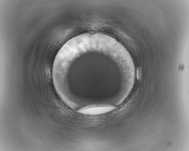 X0000093621155200711121229
