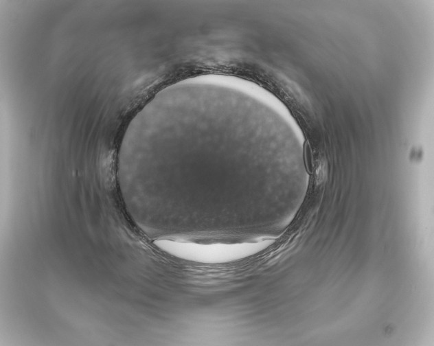 X0000093621156200711121229