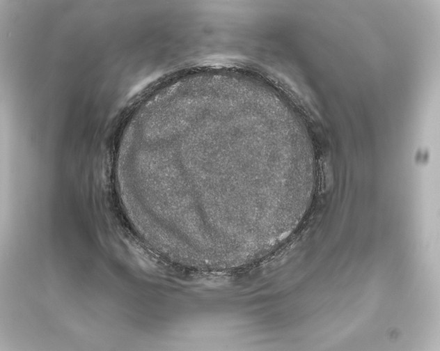 X0000093621158200711121229