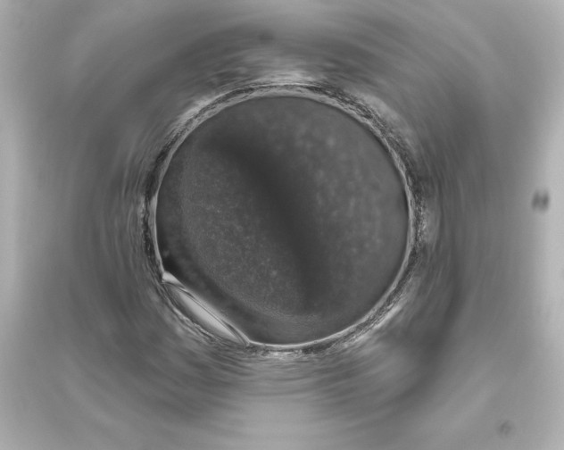 X0000093621161200711121229