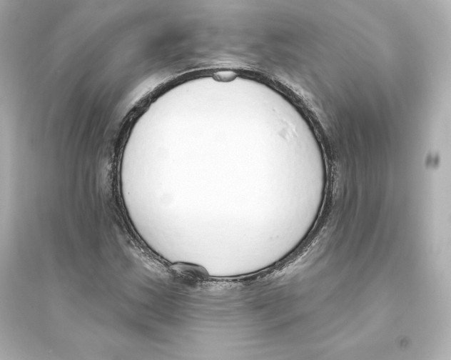 X0000093621163200711121229