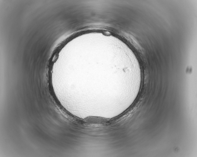 X0000093621164200711121229