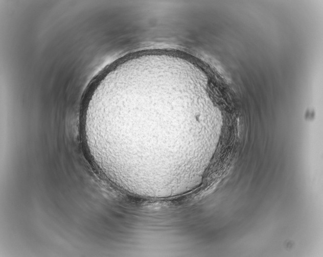 X0000093621165200711121229