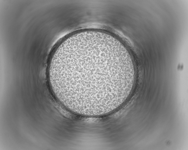 X0000093621166200711121229