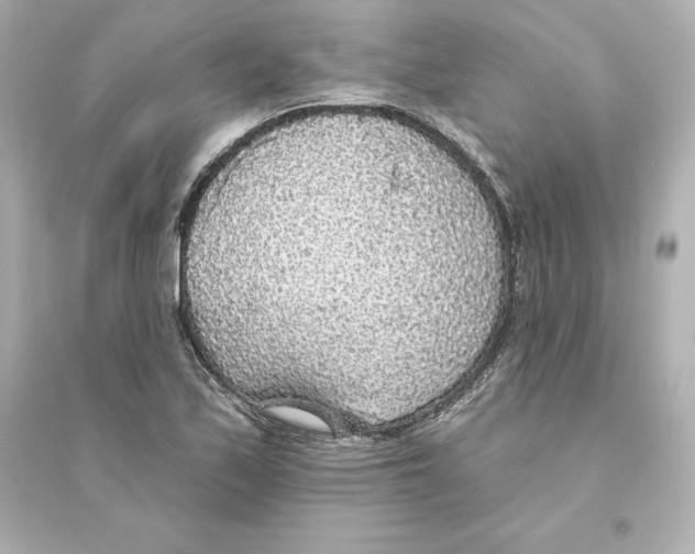 X0000093621171200711121229